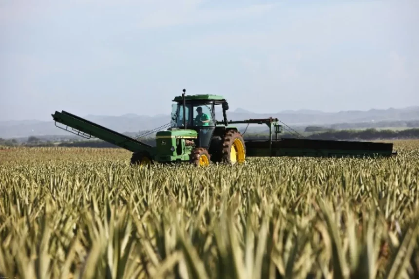 Tractor collecting crops