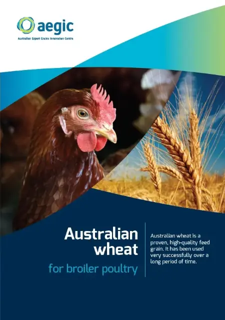 cover of wheat for broiler poultry