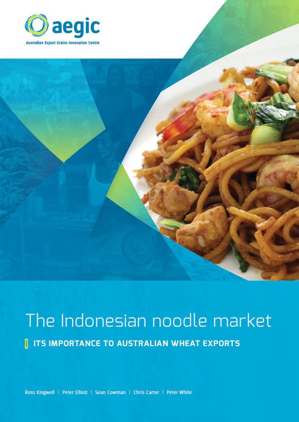 cover of Indonesian noodle market report