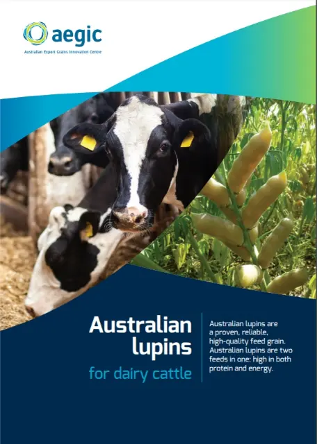 cover of lupins for dairy cattle