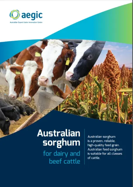 cover of sorghum for dairy and beef cattle