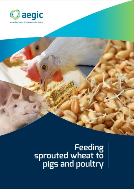 cover of feeding sprouted wheat to pigs and poultry