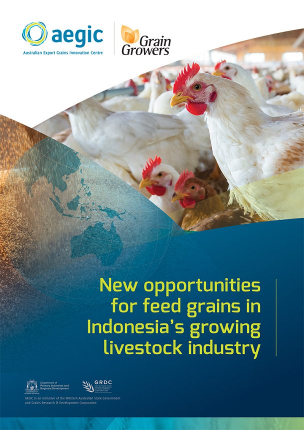 cover for new opportunities for feed grains in Indonesia's growing livestock industry report