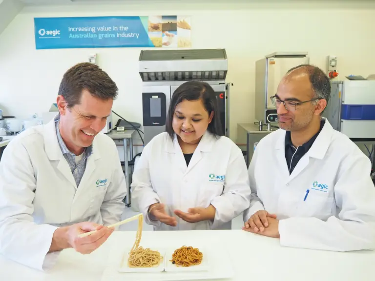 Scientists looking at different types of oats