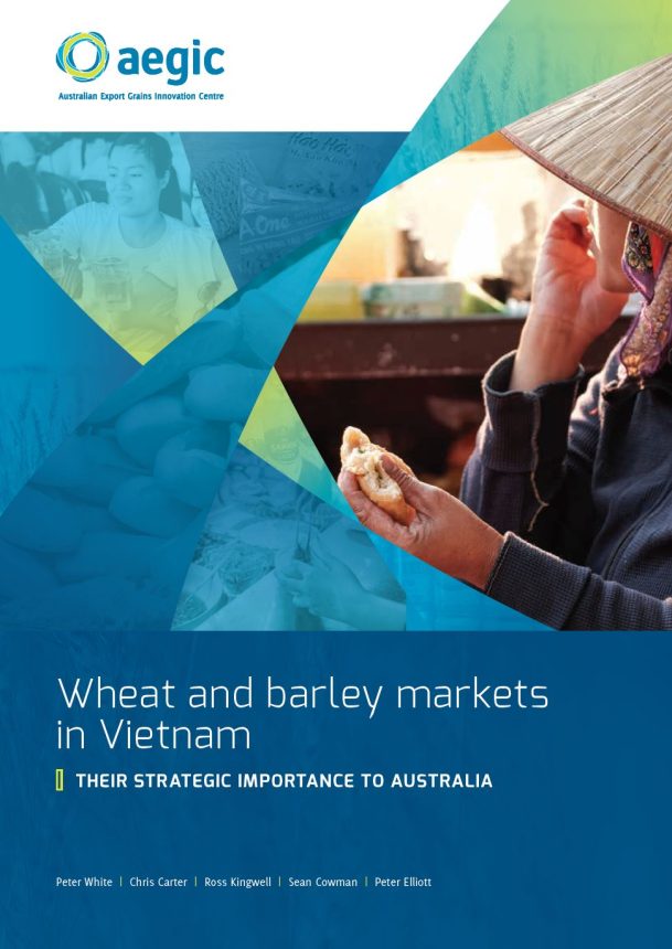 cover for wheat and barley markets in Vietnam report